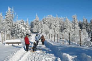 Climbing Adventures in Hohe Wand Nature Park from Grünbach